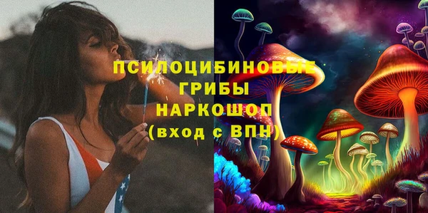 марки lsd Богородицк